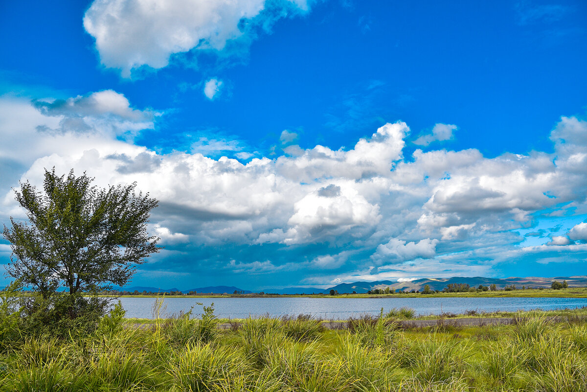 Весенние облака. - юрий Амосов