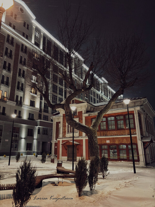 Дерево - Larisa Kuznetsova