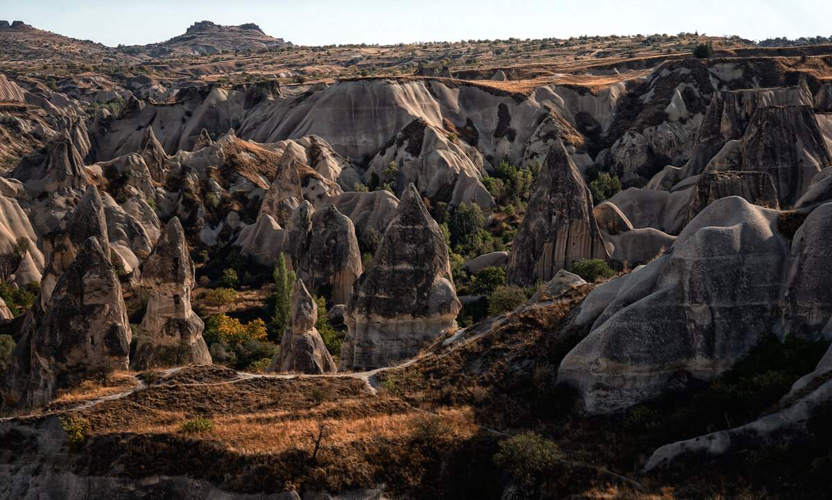 Долины в Турции - Лилия .