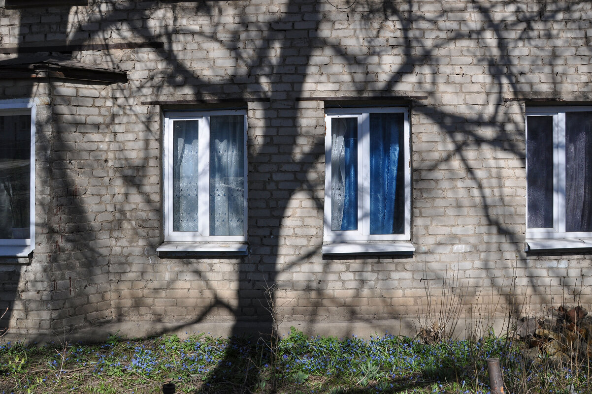 Подснежники под окнами - Татьяна Машошина