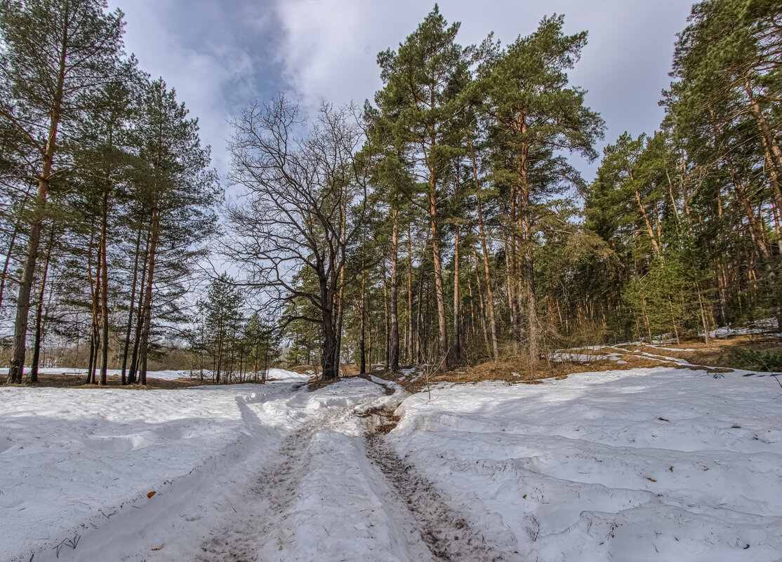 Дорогами весны. - Николай 
