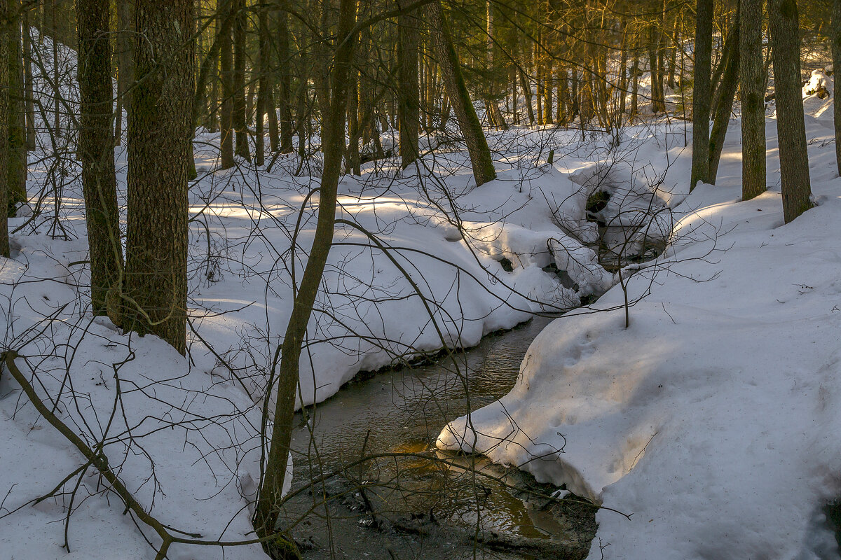 Вешние воды - Сергей Цветков