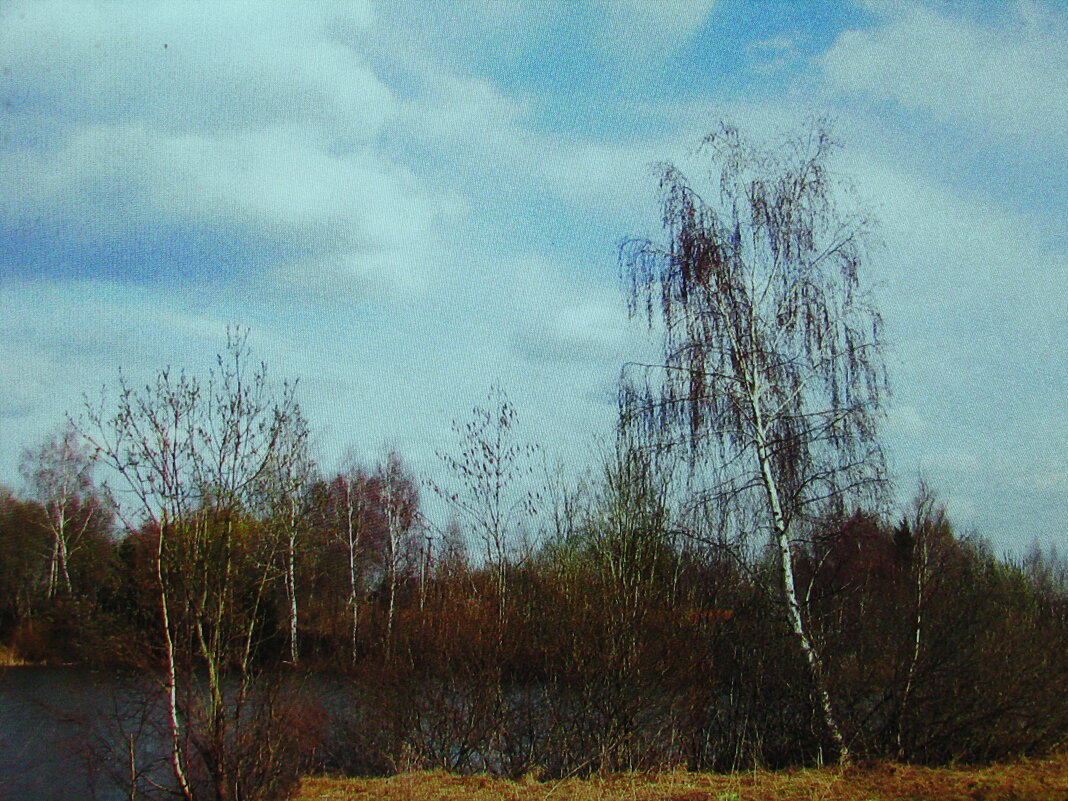 Весенний денёк - Людмила Смородинская