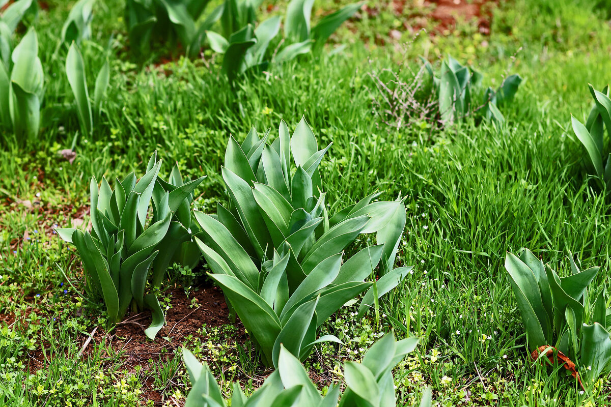 На улице - Юрий Гайворонскiий