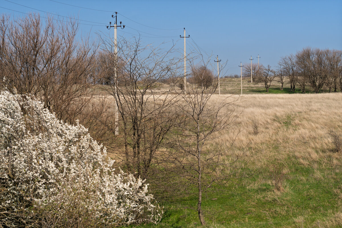 Остатки прошлой осени - Игорь Сикорский