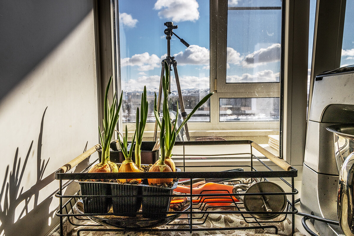 Усть-Каменогорск - Дмитрий 