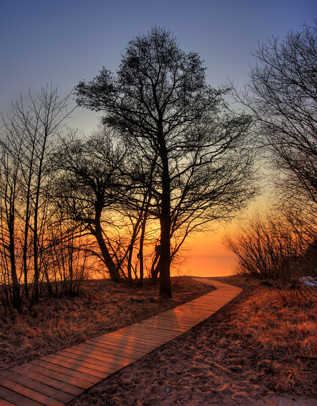 *** - Сергей Григорьев