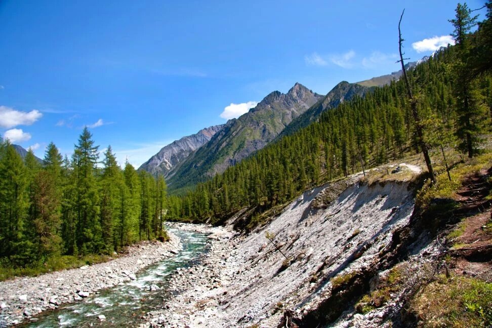 Долина - Виктор Фоменко