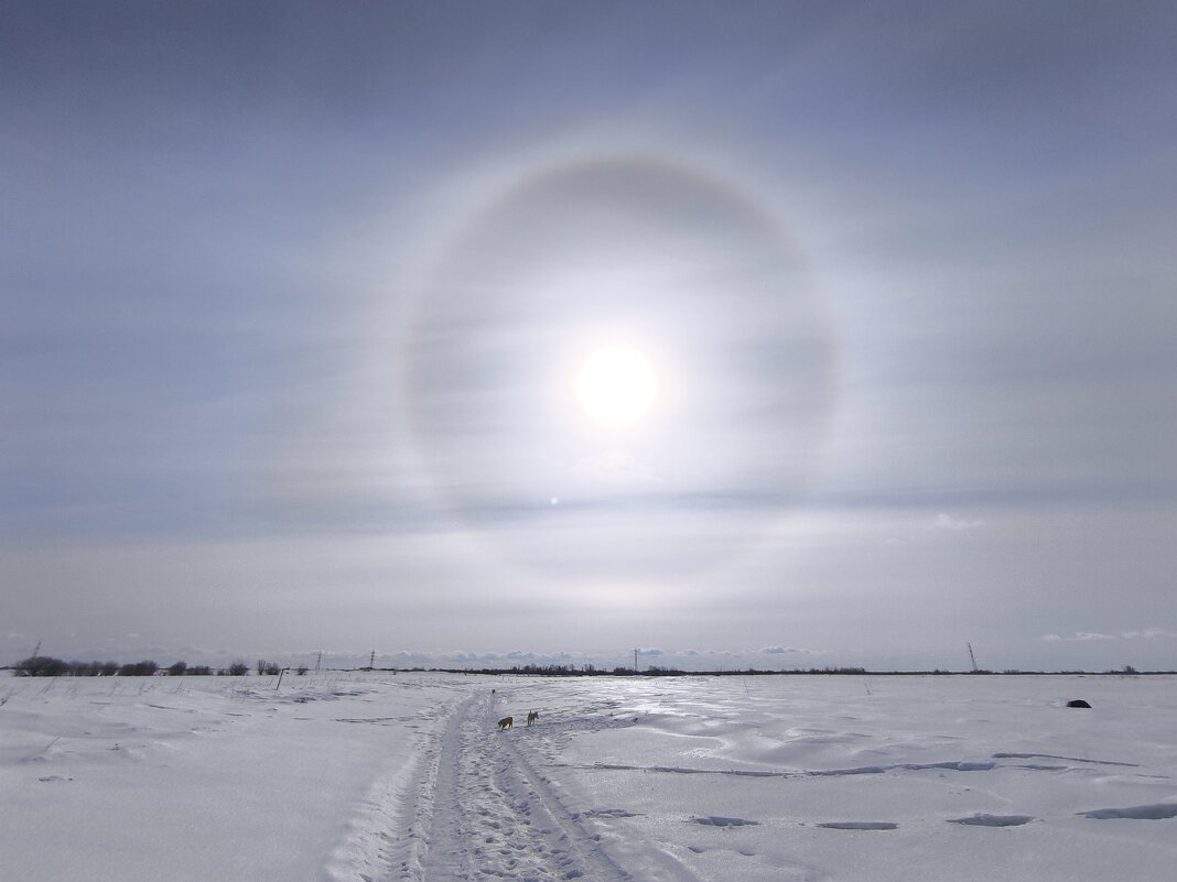 Весна - Anna Ivanova