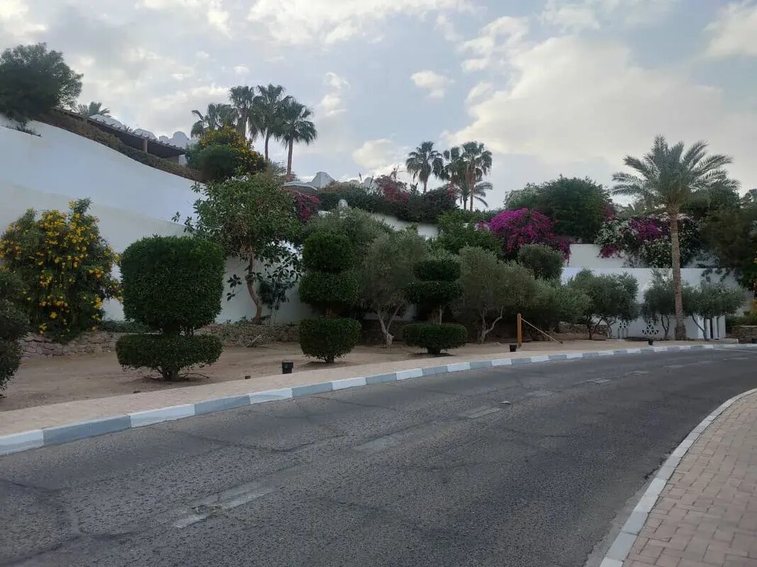 Египет. Шарм-эль-Шейх - Ирэн 