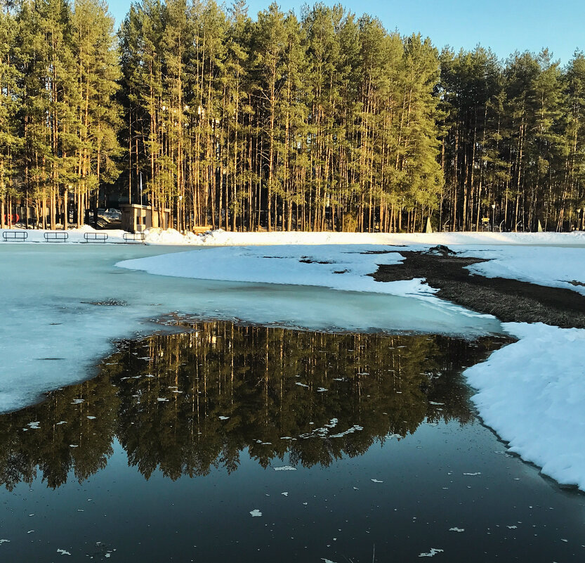 Немного солнца в холодной воде - Татьяна 