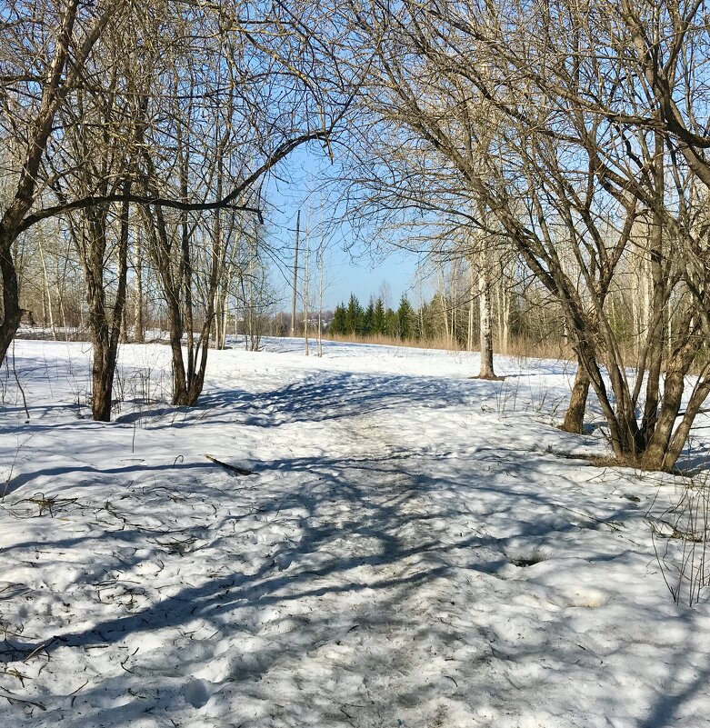 Апрельский полдень - Татьяна 