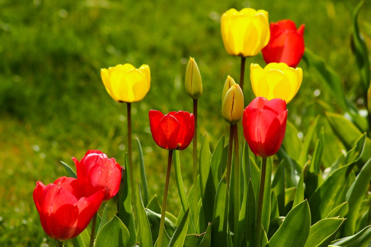 Какой хороший день - Юрий. Шмаков