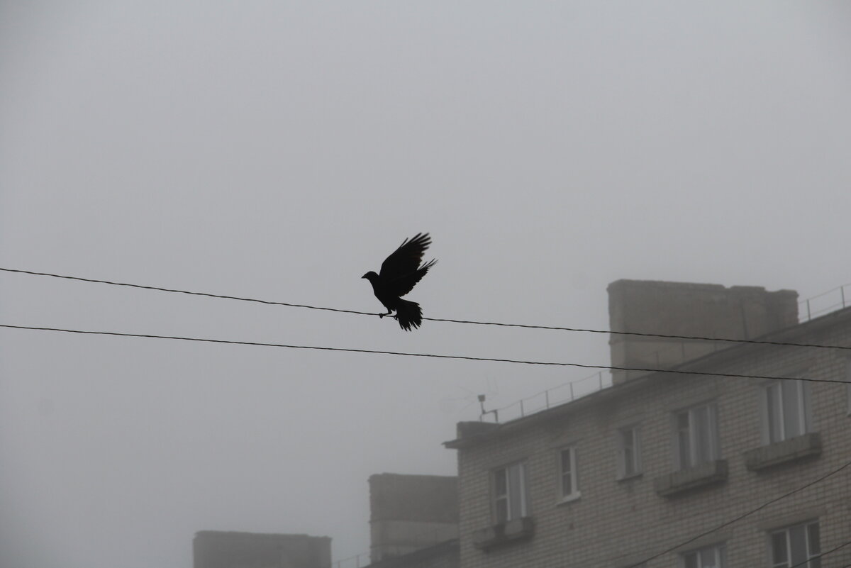 Апрельский этюд - Елена Минина