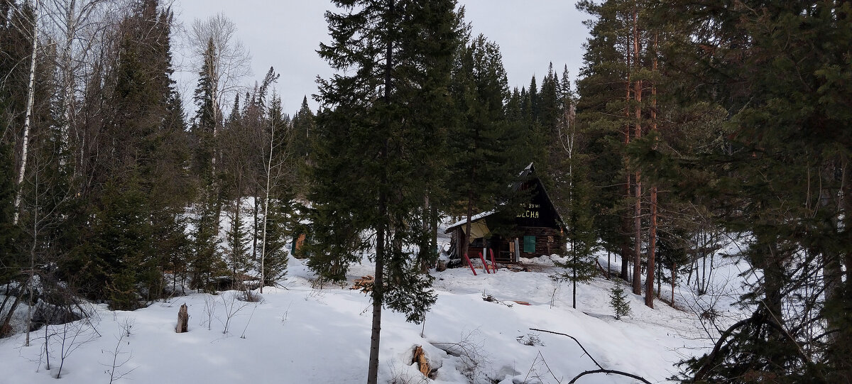 В лесу. - Радмир Арсеньев