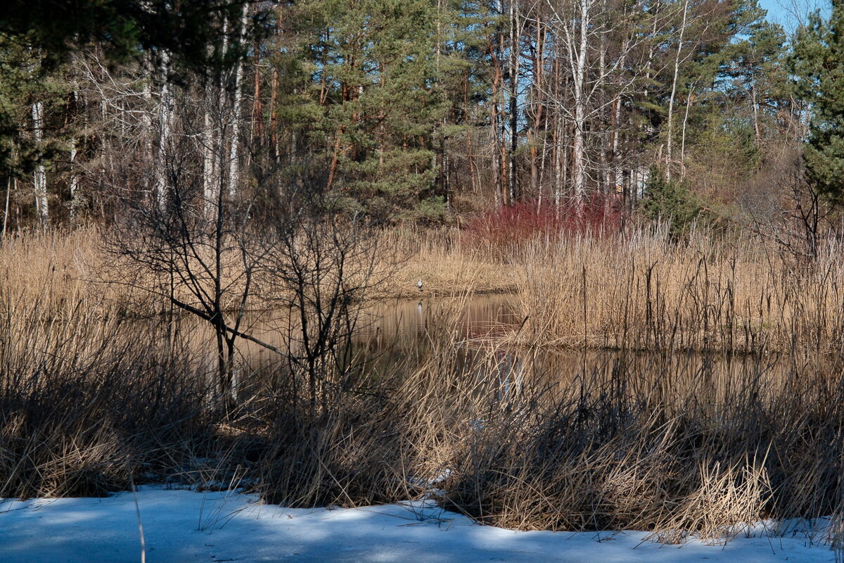*** - Геннадий Порохов