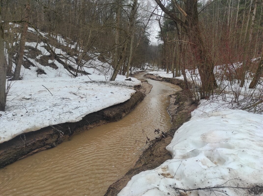Вода всё прибывает.. - Игорь Ч.