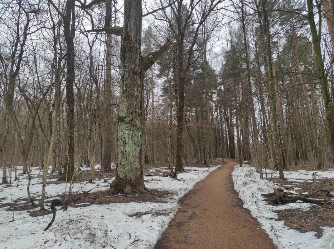 Пасмурный день - Игорь Ч.