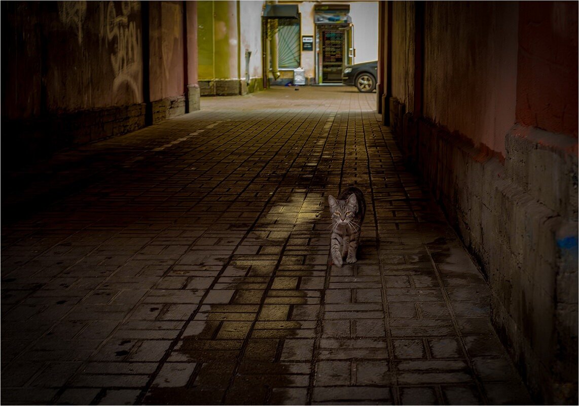 Местный - Александр Лебедев