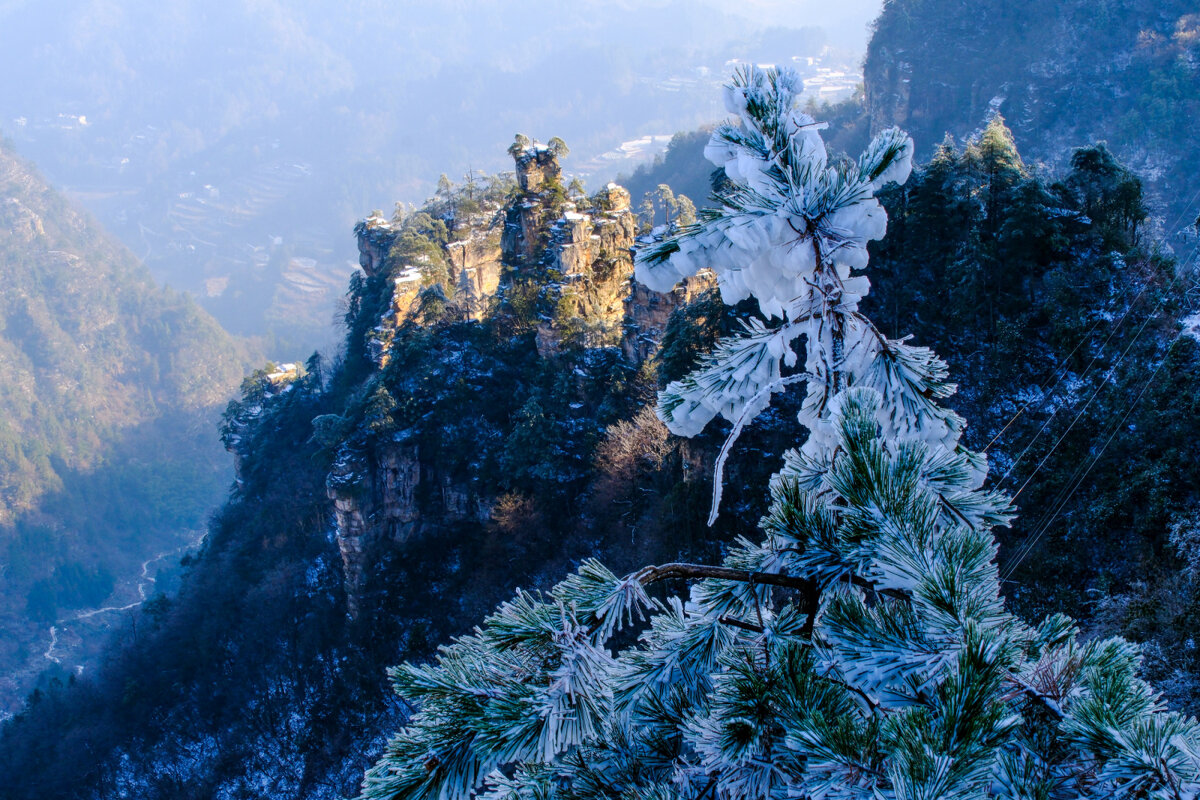 Парк "Аватар" под снегом - Георгий А
