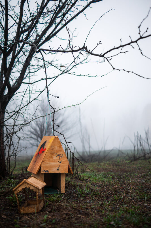 Апрель. Весна 2026 - Сергей В