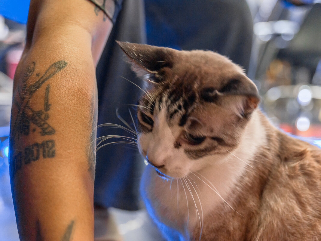 ... - Жора Житников