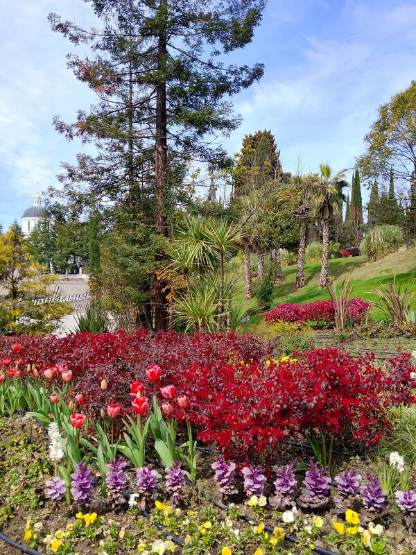 МАРТ - Tata Wolf