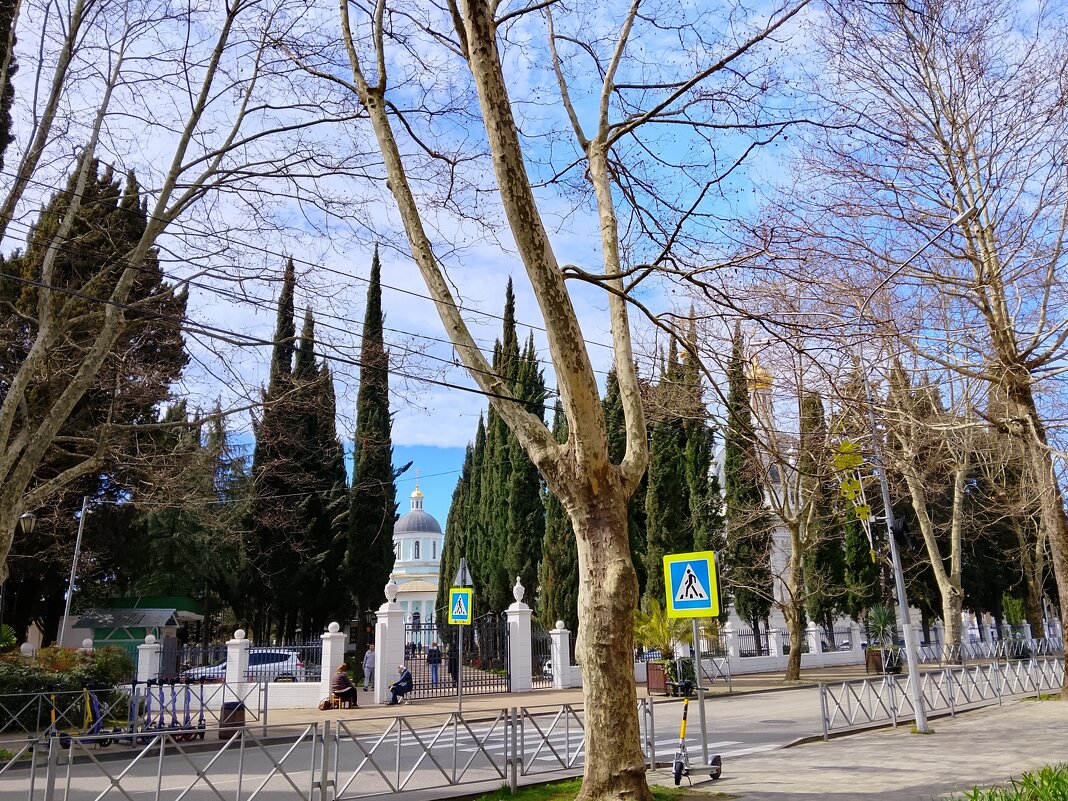 МАРТ - Tata Wolf