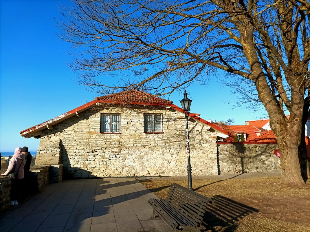 В Епископском саду - Veera V