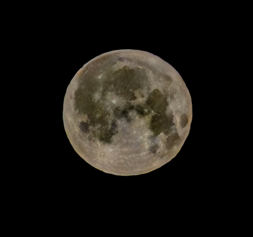 213 - Анастасия Верушкина