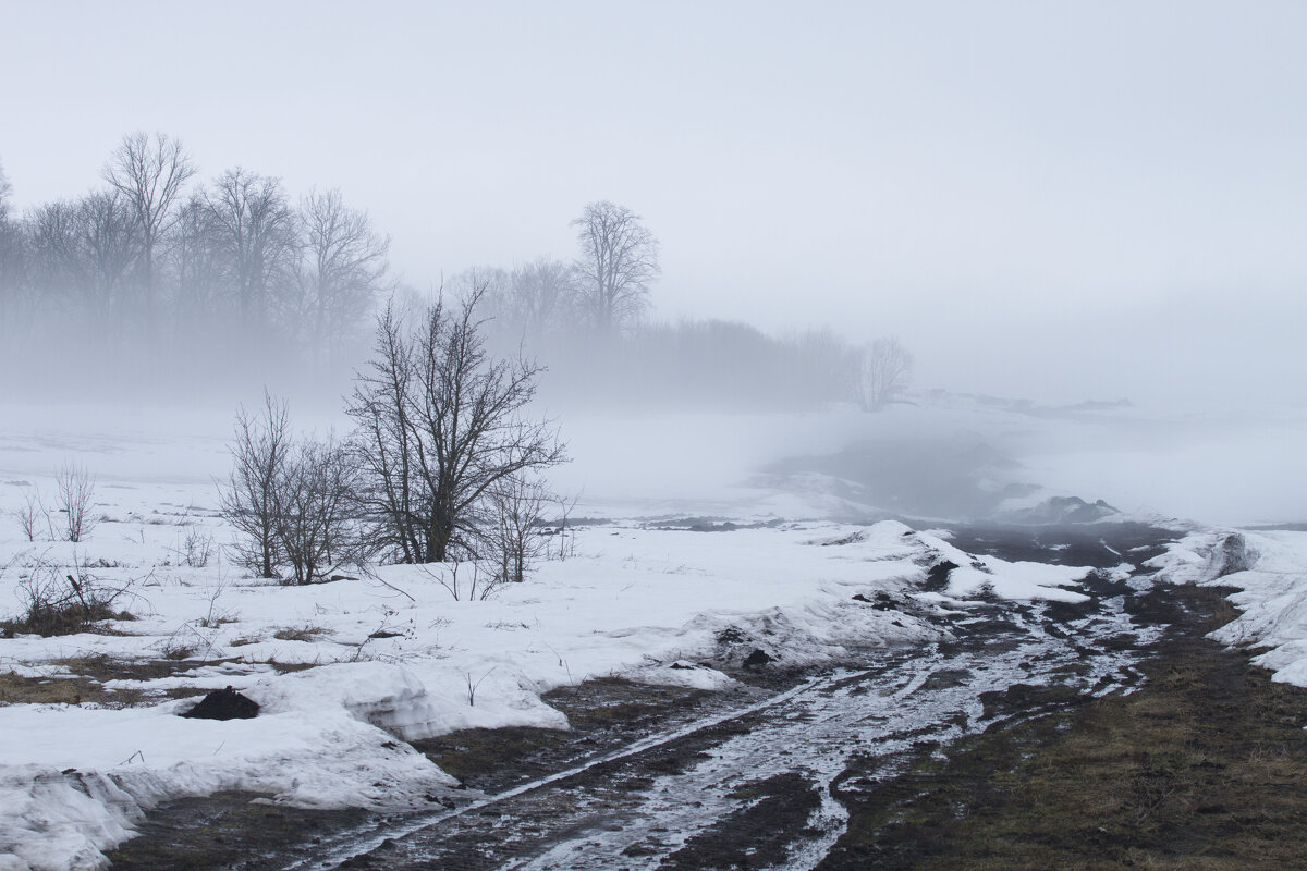 Туманно - Олег Денисов