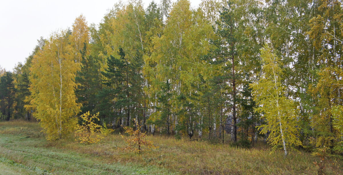 Осень сентября. - сергей ермошкин
