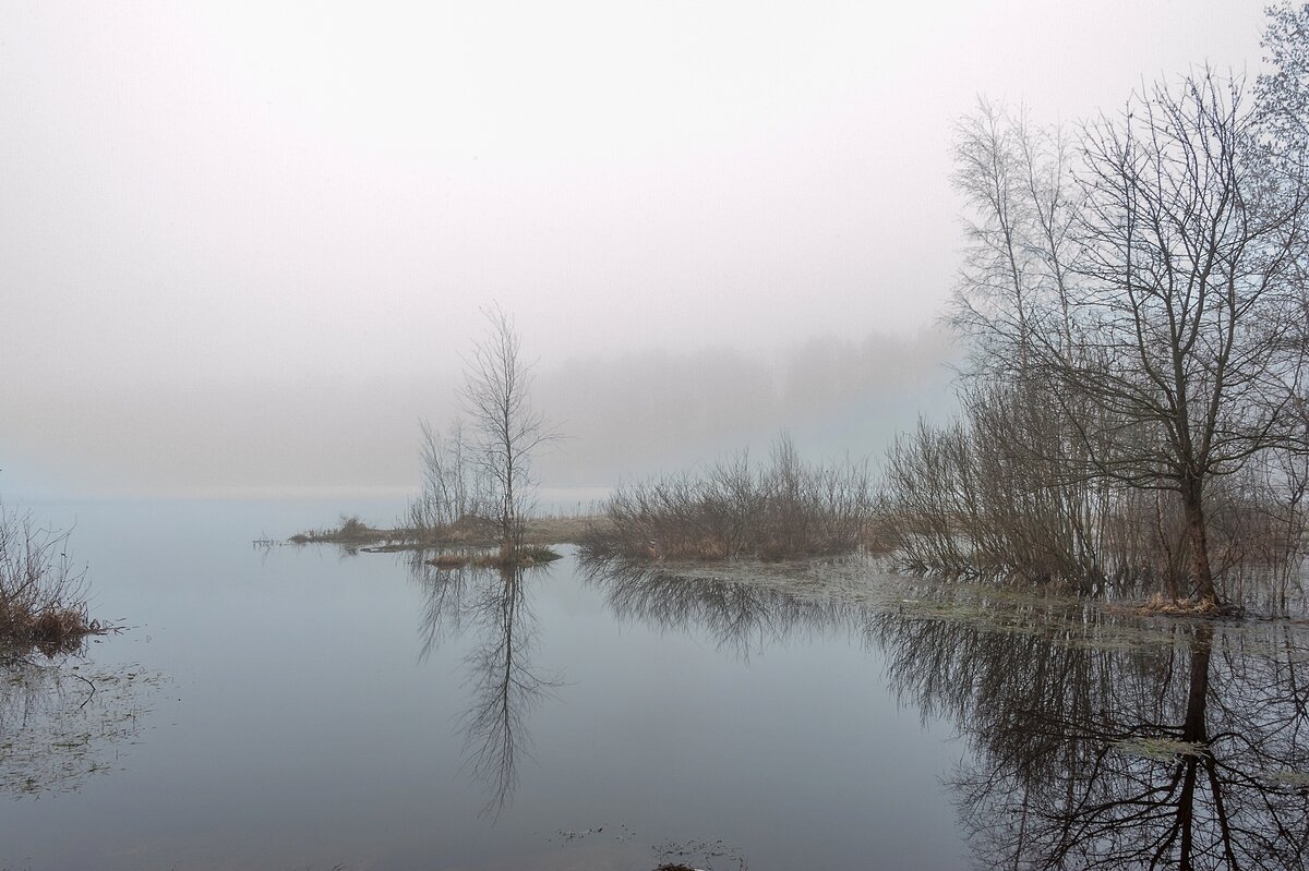 Апрельское утро на озере - Валерий Иванович