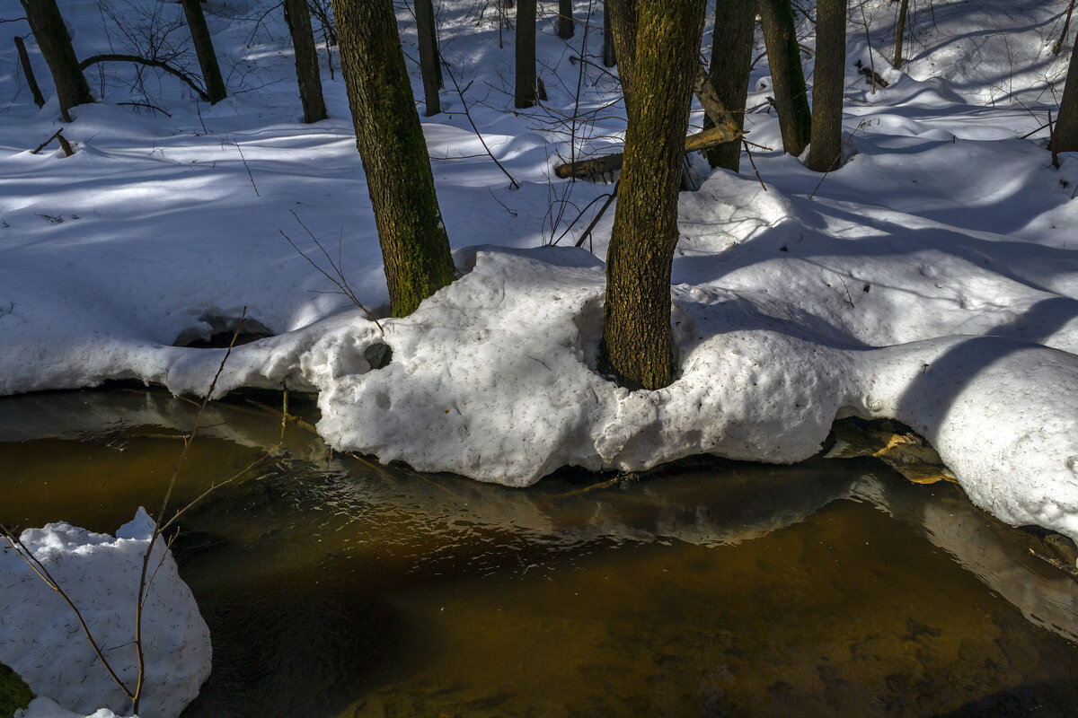 Талые воды - Сергей Цветков