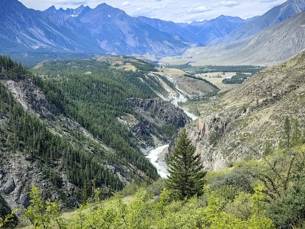 Река Аргут в ущелье - Галина Козлова 