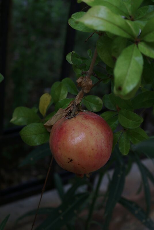 В темноте улочек - Ольга 