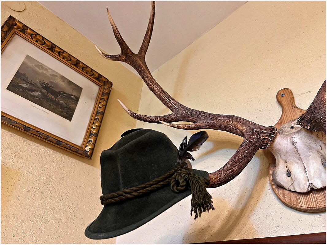 Экспонаты музея. - Валерия Комова