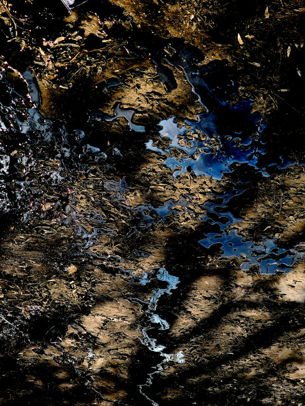 * - Сергей Полянский