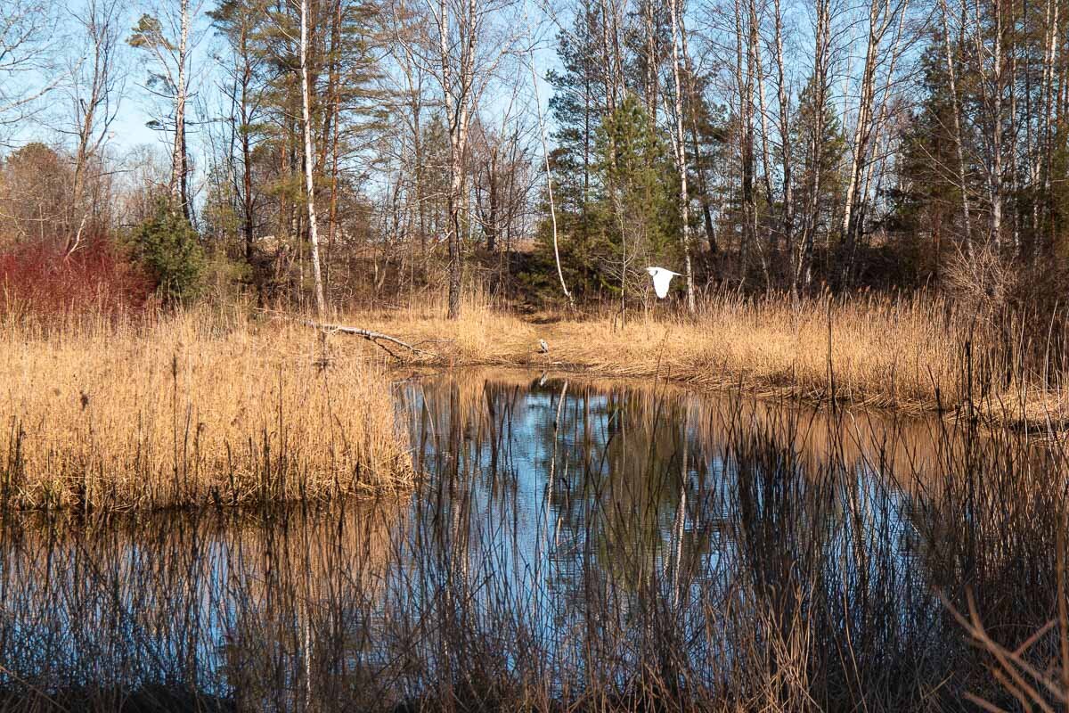 *** - Геннадий Порохов