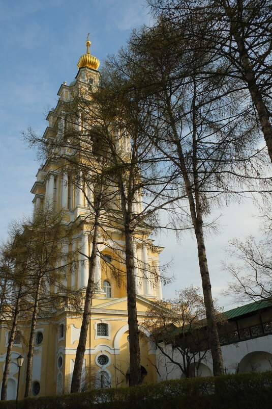 Новоспасский монастырь - Лютый Дровосек