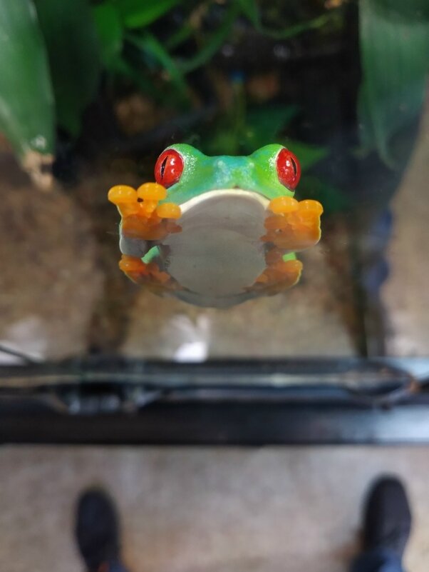 Не залипай! Я отлипаю - АЛЕКСЕЙ СЕРГЕЕВИЧ