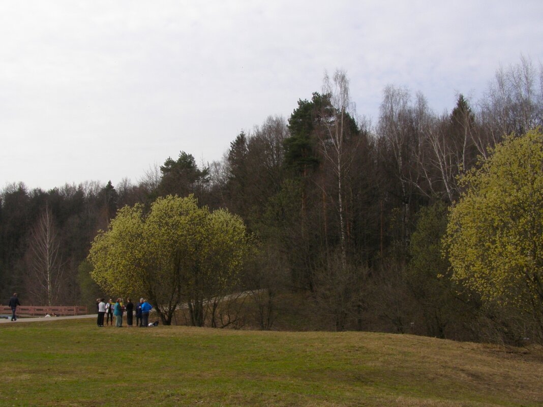 Ранняя весна 1 - Анна Воробьева