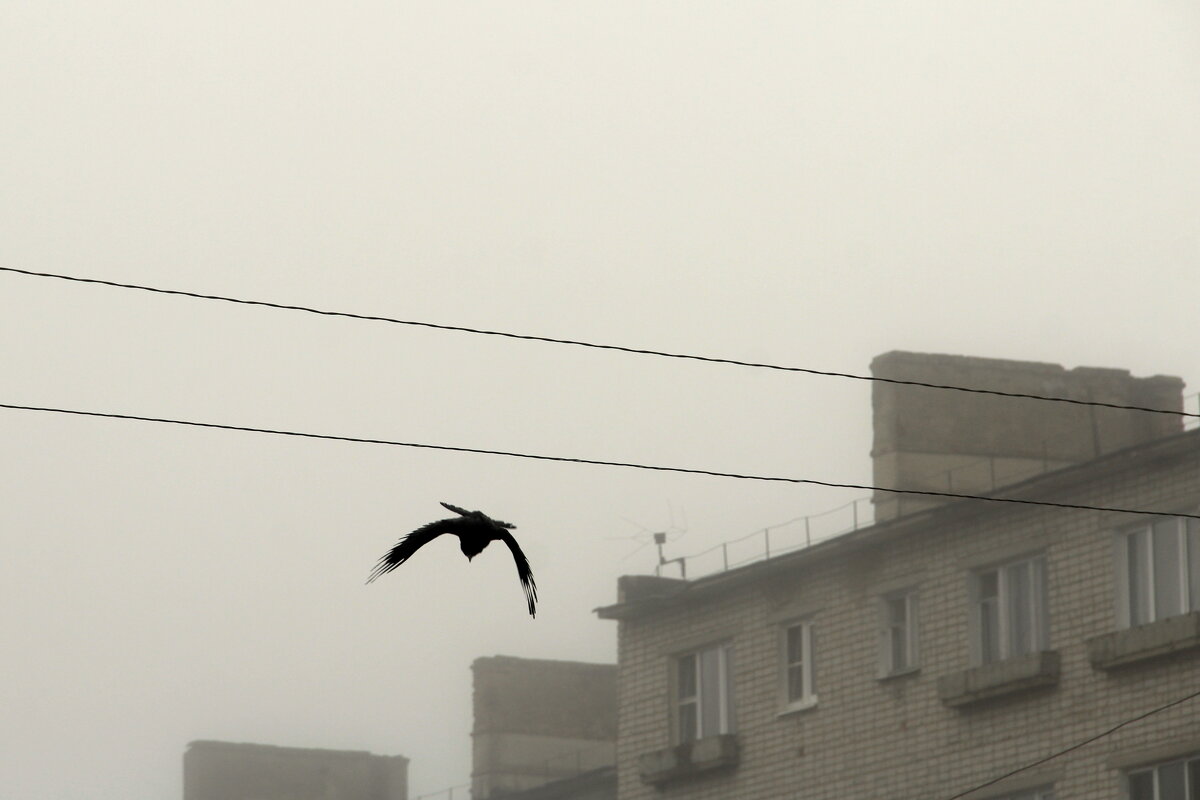Апрельская диагональ - Елена Минина