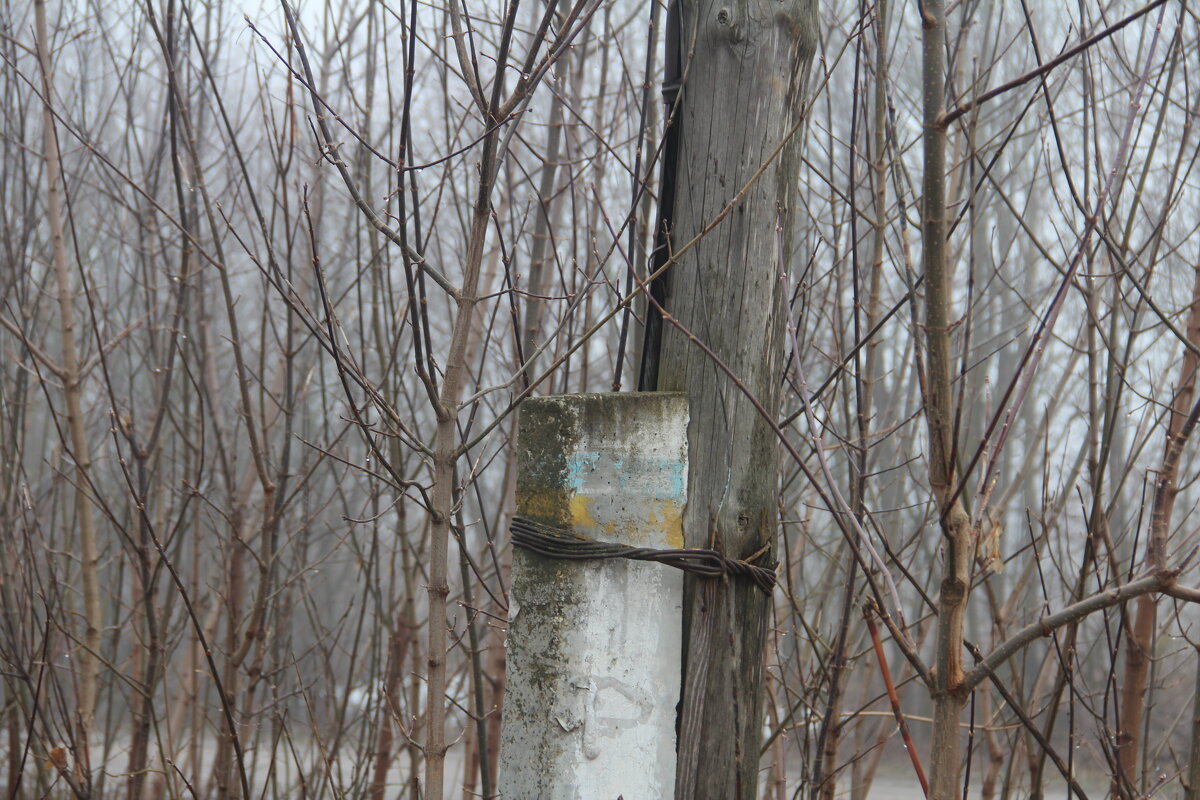 - Отпусти, дубина - Елена Минина