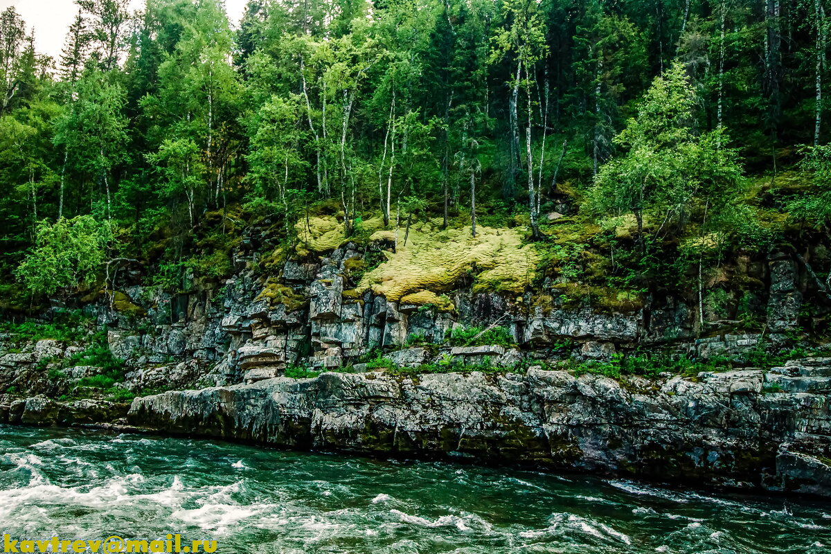 ТАЕЖНЫЕ РЕКИ - HART BAD