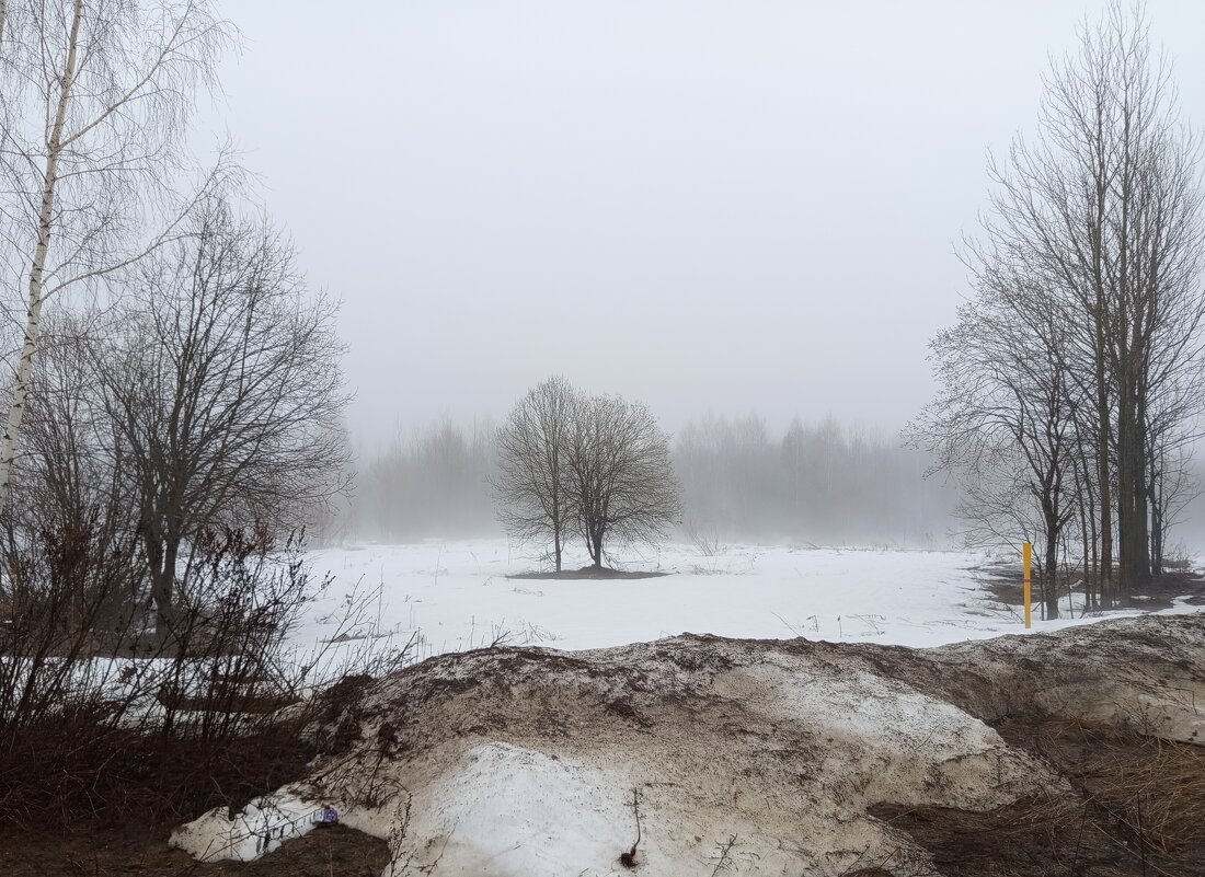 Апрель-он разный... - Алена 