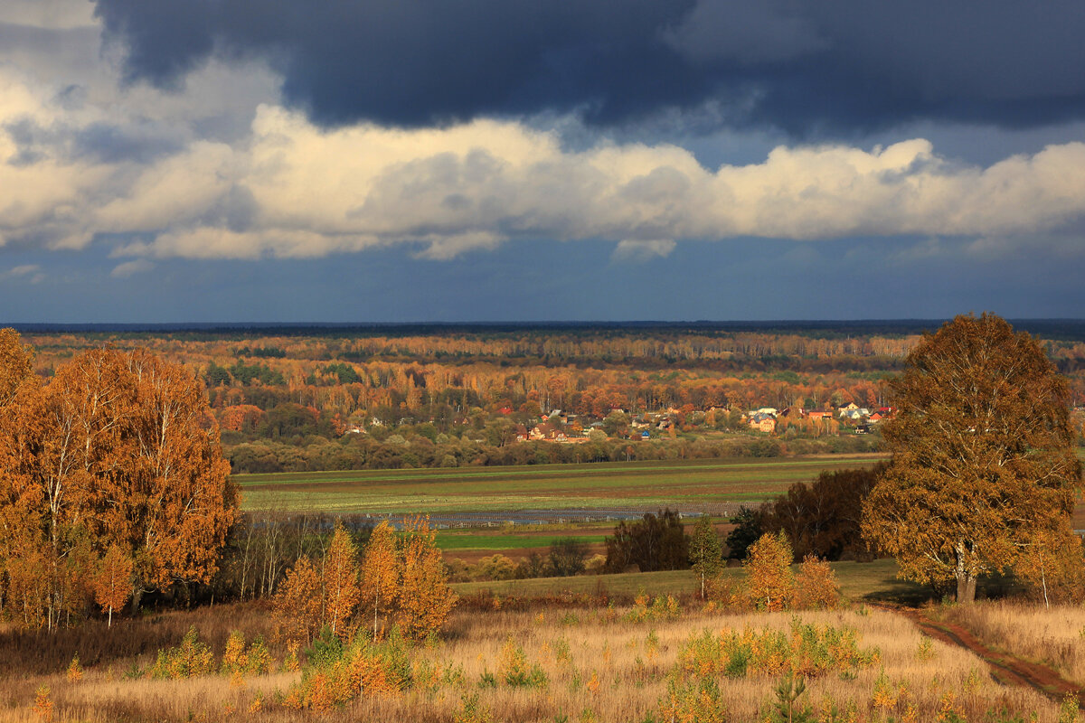 Краски осени - Владимир Гришин