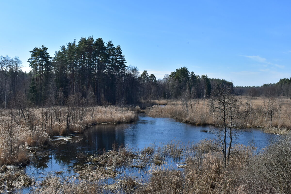 Велимья - Роман Пацкевич
