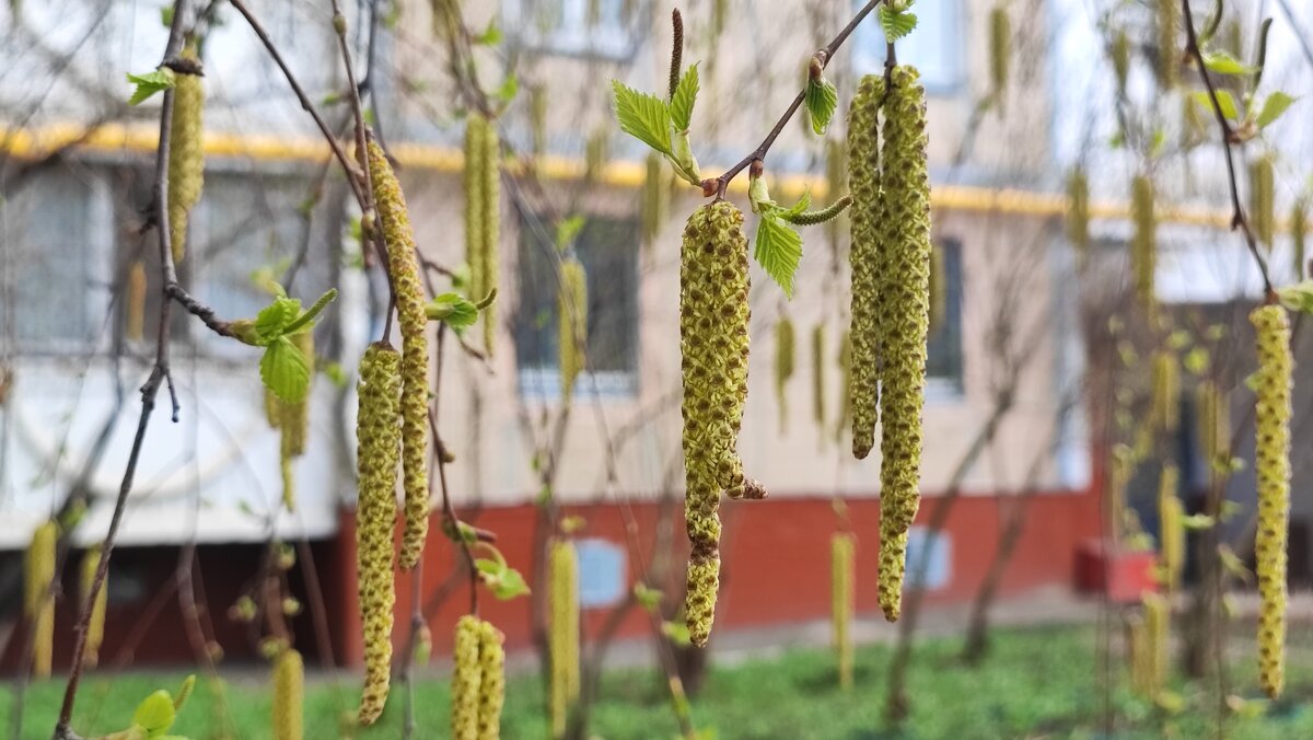 ... - Сергей Тимоновский