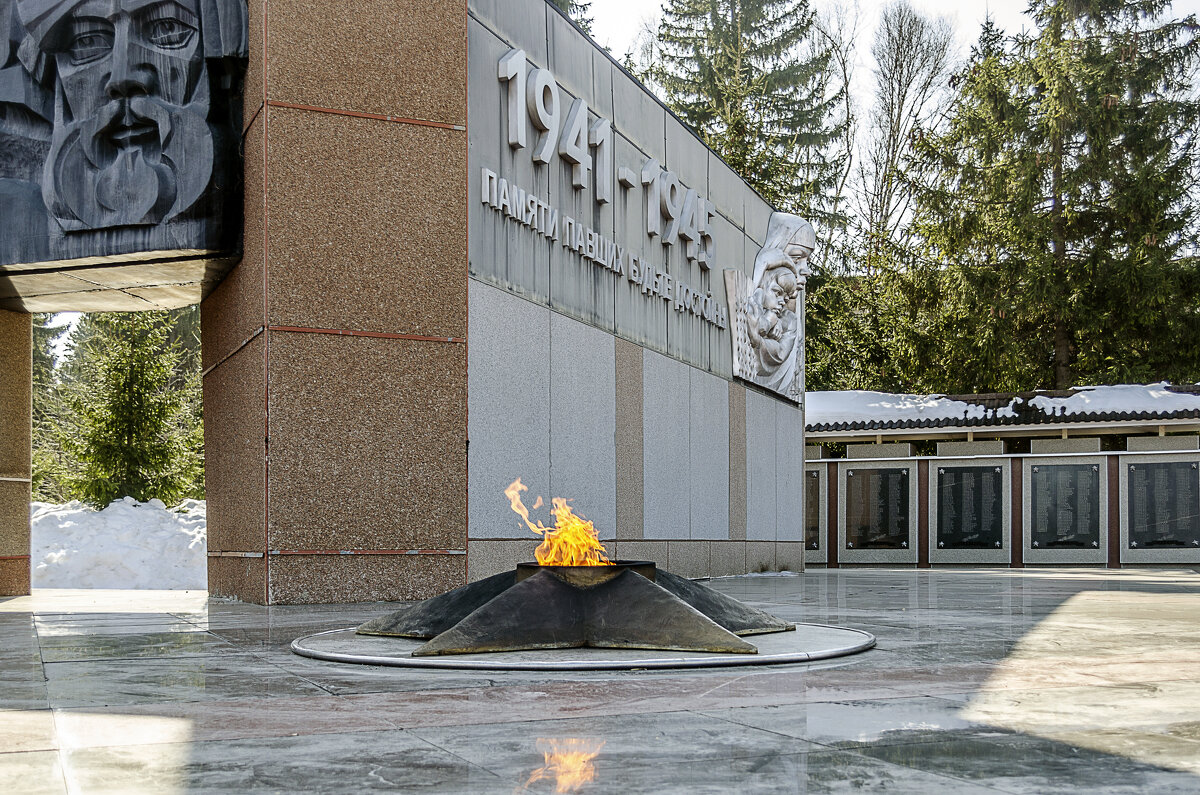 Памяти павших... - Андрей Щетинин